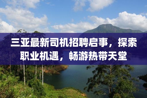 三亚最新司机招聘启事，探索职业机遇，畅游热带天堂