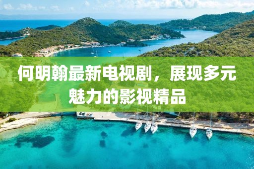 何明翰最新电视剧，展现多元魅力的影视精品