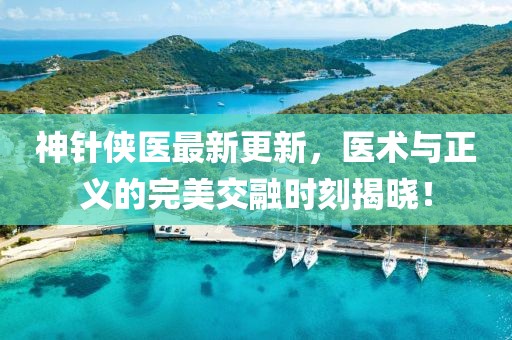 神针侠医最新更新，医术与正义的完美交融时刻揭晓！