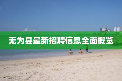 无为县最新招聘信息全面概览