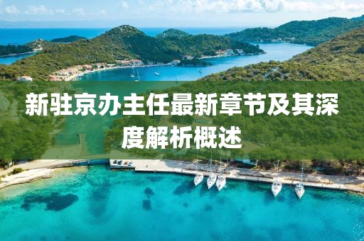 新驻京办主任最新章节及其深度解析概述
