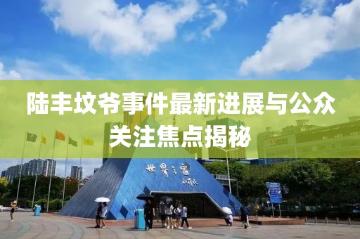 陆丰坟爷事件最新进展与公众关注焦点揭秘