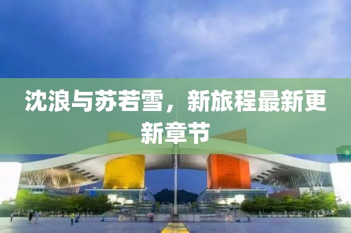 沈浪与苏若雪，新旅程最新更新章节