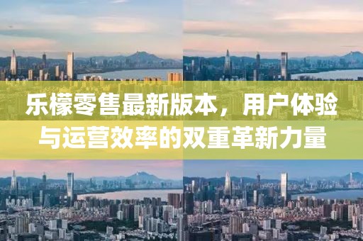 乐檬零售最新版本，用户体验与运营效率的双重革新力量