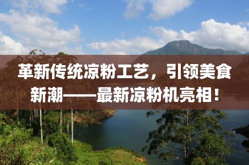 革新传统凉粉工艺，引领美食新潮——最新凉粉机亮相！