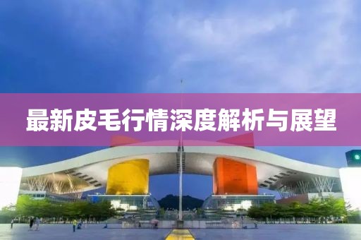 最新皮毛行情深度解析与展望