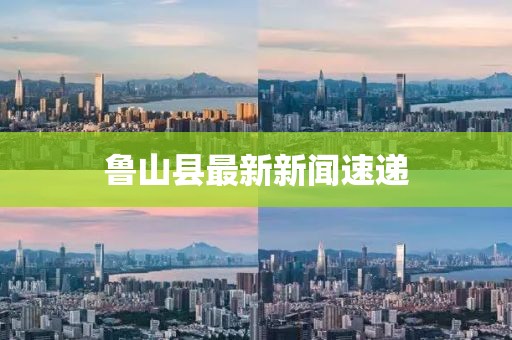 鲁山县最新新闻速递