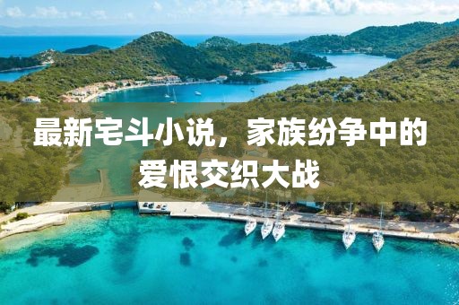 最新宅斗小说，家族纷争中的爱恨交织大战
