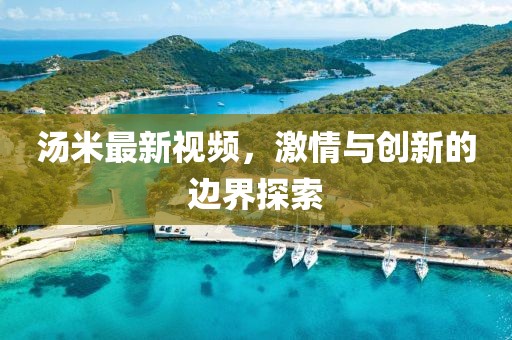 汤米最新视频，激情与创新的边界探索