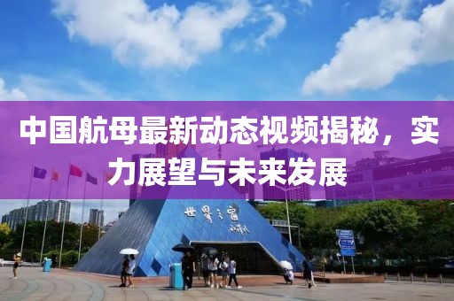 钞华池 第11页