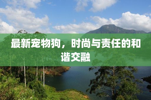 最新宠物狗，时尚与责任的和谐交融