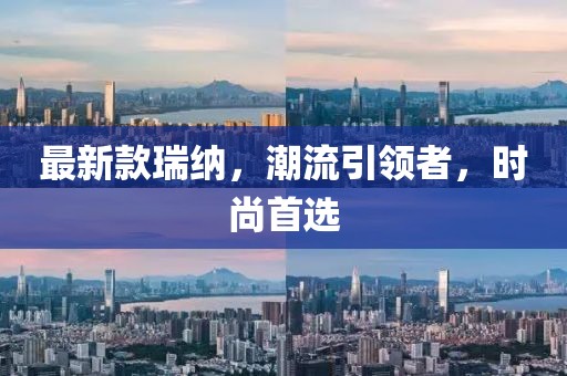 最新款瑞纳，潮流引领者，时尚首选