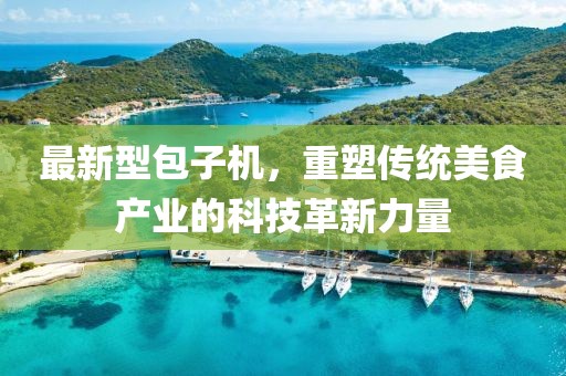 最新型包子机，重塑传统美食产业的科技革新力量
