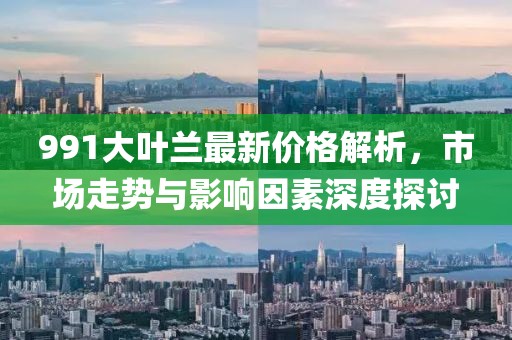 991大叶兰最新价格解析，市场走势与影响因素深度探讨