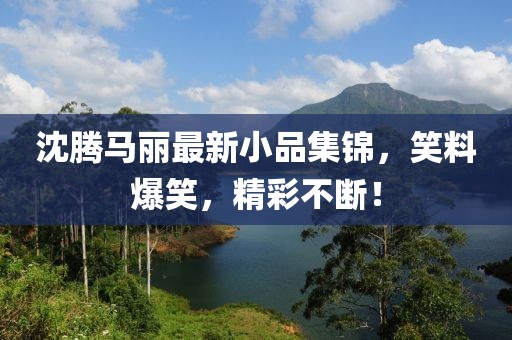 沈腾马丽最新小品集锦，笑料爆笑，精彩不断！