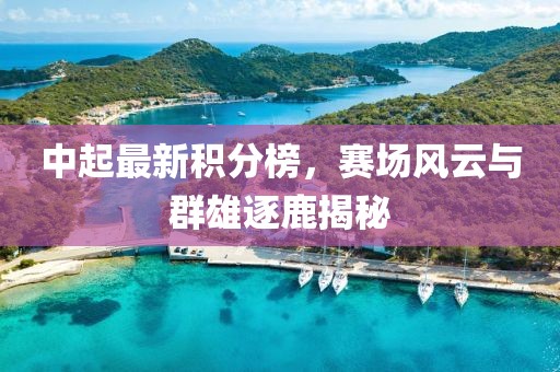 中起最新积分榜，赛场风云与群雄逐鹿揭秘