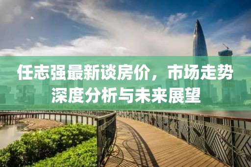 任志强最新谈房价，市场走势深度分析与未来展望