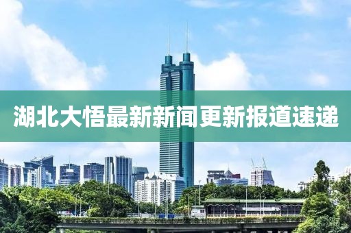 湖北大悟最新新闻更新报道速递