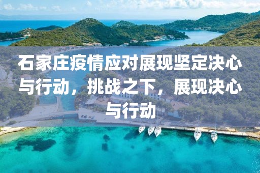 石家庄疫情应对展现坚定决心与行动，挑战之下，展现决心与行动