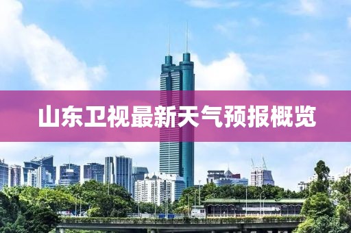 山东卫视最新天气预报概览
