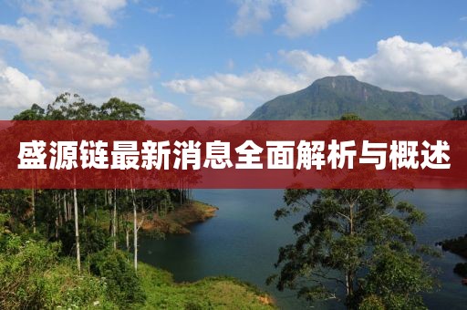 盛源链最新消息全面解析与概述