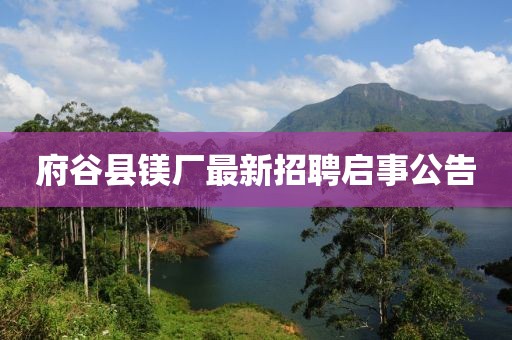 府谷县镁厂最新招聘启事公告