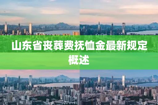山东省丧葬费抚恤金最新规定概述