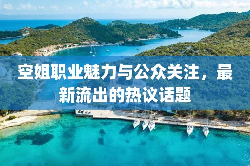 空姐职业魅力与公众关注，最新流出的热议话题
