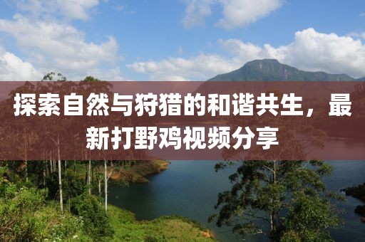 探索自然与狩猎的和谐共生，最新打野鸡视频分享