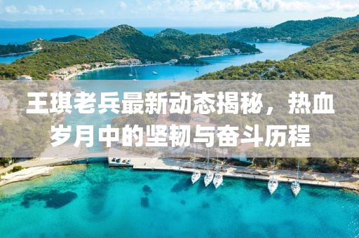 王琪老兵最新动态揭秘，热血岁月中的坚韧与奋斗历程