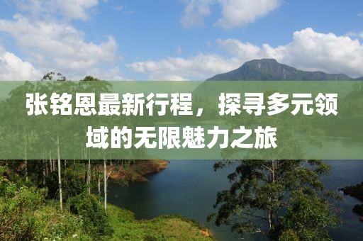 张铭恩最新行程，探寻多元领域的无限魅力之旅