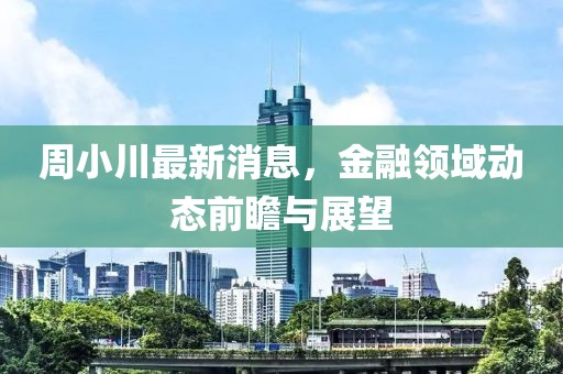 周小川最新消息，金融领域动态前瞻与展望