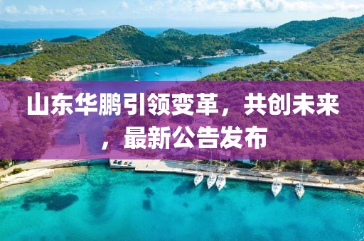 山东华鹏引领变革，共创未来，最新公告发布