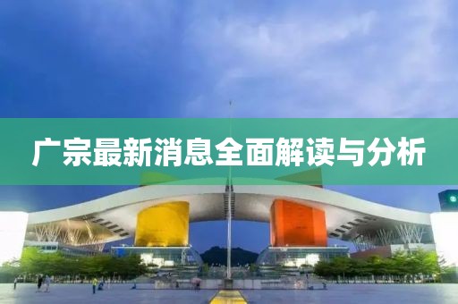 广宗最新消息全面解读与分析