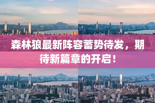 森林狼最新阵容蓄势待发，期待新篇章的开启！