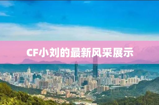 痈慌 第10页