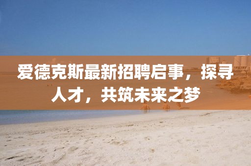 爱德克斯最新招聘启事，探寻人才，共筑未来之梦