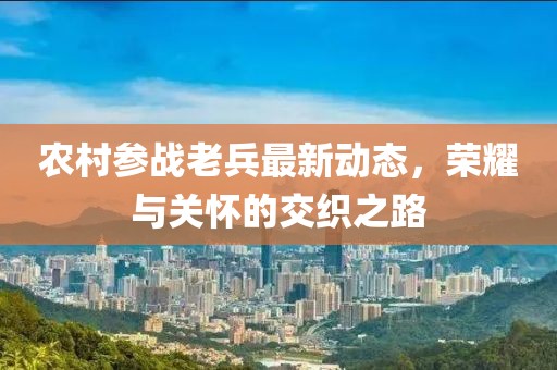 农村参战老兵最新动态，荣耀与关怀的交织之路