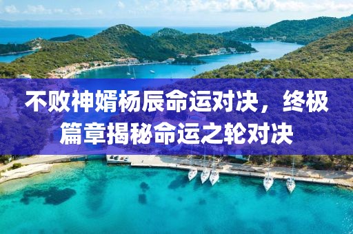 不败神婿杨辰命运对决，终极篇章揭秘命运之轮对决