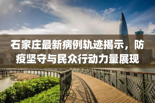 石家庄最新病例轨迹揭示，防疫坚守与民众行动力量展现