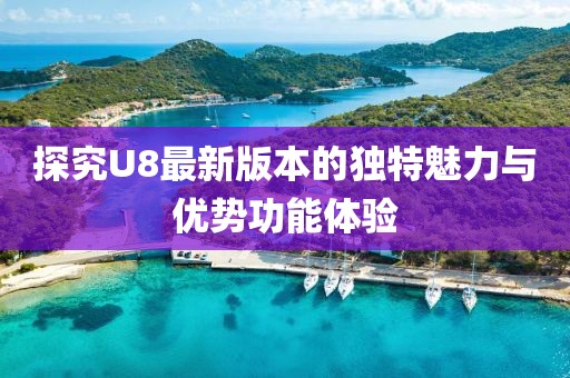 探究U8最新版本的独特魅力与优势功能体验