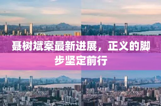 聂树斌案最新进展，正义的脚步坚定前行