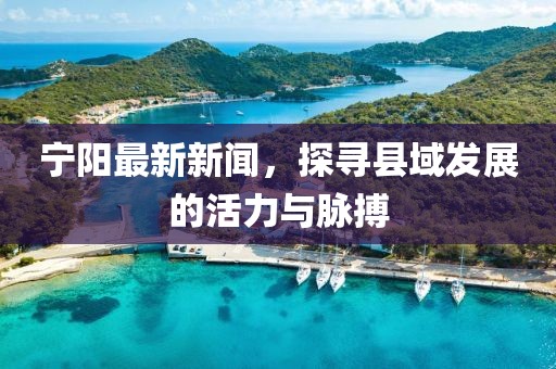 宁阳最新新闻，探寻县域发展的活力与脉搏