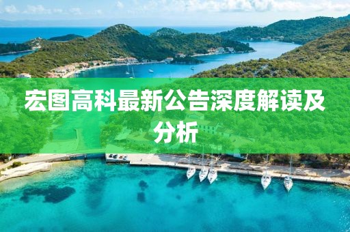 宏图高科最新公告深度解读及分析