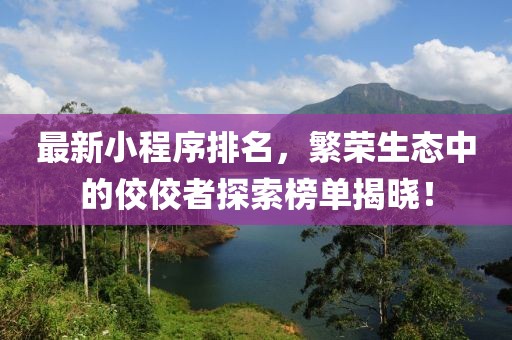 最新小程序排名，繁荣生态中的佼佼者探索榜单揭晓！