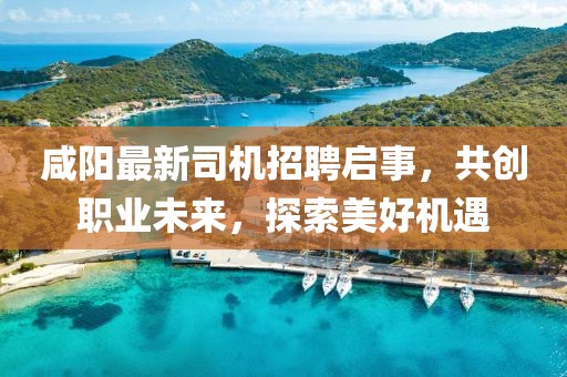 咸阳最新司机招聘启事，共创职业未来，探索美好机遇
