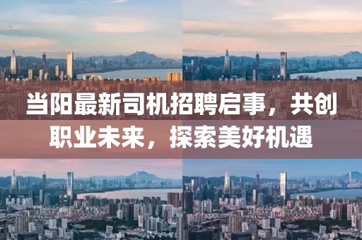 当阳最新司机招聘启事，共创职业未来，探索美好机遇