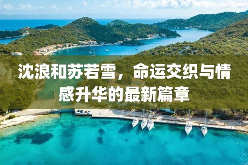 沈浪和苏若雪，命运交织与情感升华的最新篇章