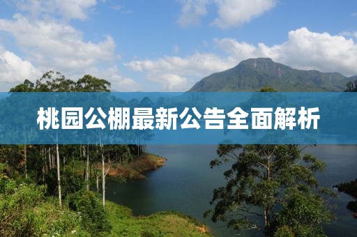 桃园公棚最新公告全面解析