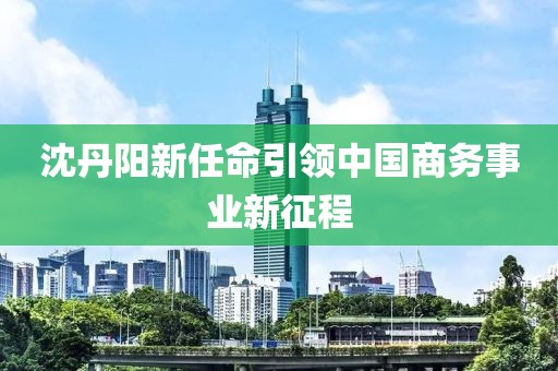 沈丹阳新任命引领中国商务事业新征程